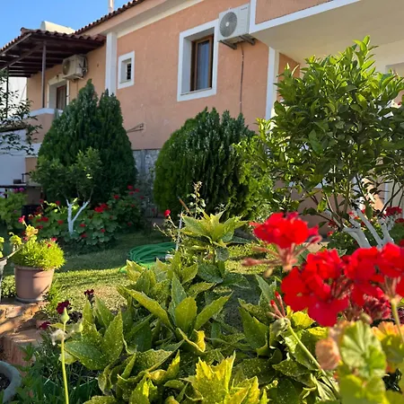 Fjori * كساميل