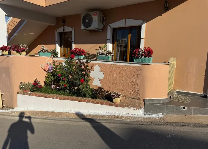 Fjori * 卡萨米尔